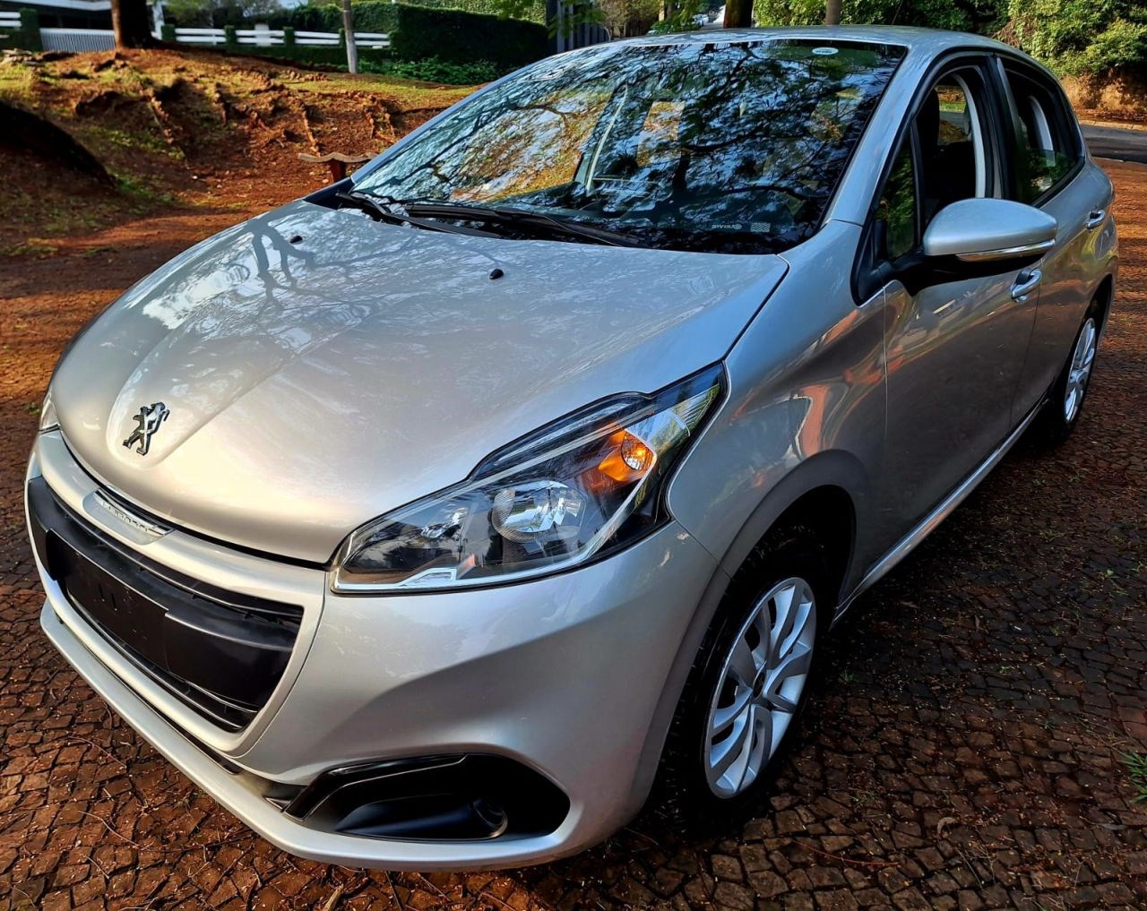 //www.autoline.com.br/carro/peugeot/208-12-active-pack-12v-flex-4p-manual/2018/americana-sp/24597255